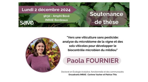 2024_These_PaolaFournier