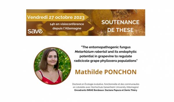 Soutenance thèse Mathilde Ponchon 2023