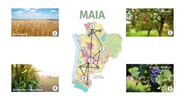 Projet MAIA