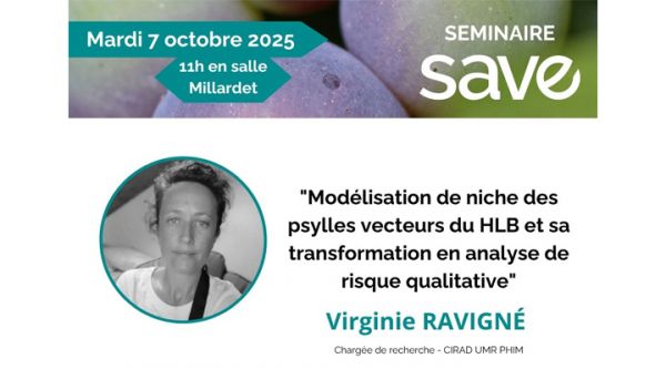 7 octobre 2025 - Séminaire Virginie Ravigné