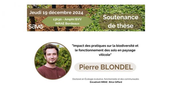 2024_These_PierreBlondel