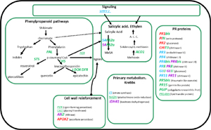 antares-fig2b