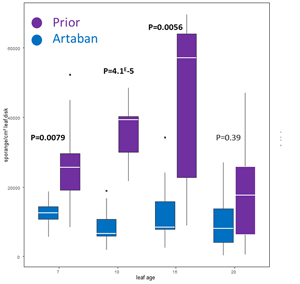 antares-fig3b