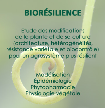 bioresilience