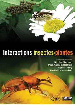 interactions insectes-plantes
