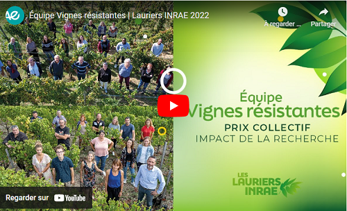 Le collectif « vignes résistantes »  a reçu le prix « Impact de la recherche »